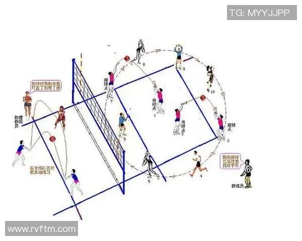 排球新手必看：从力量训练到技巧提升的全面入门指南