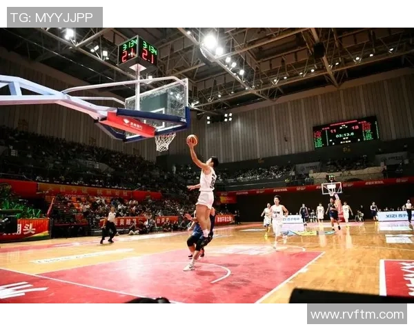 杭州篮球队在锦标赛中的团队协作表现分析与点评