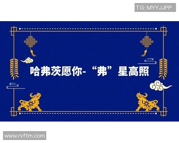 探索中国足球新星的成长之路与未来发展潜力分析